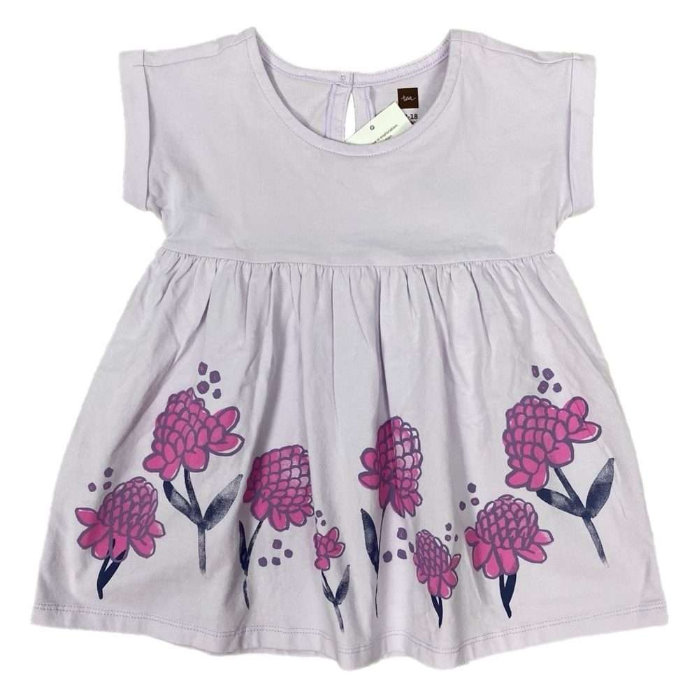Tea Collection Ginger Flower Empire Baby Dress Size 12-18 Months